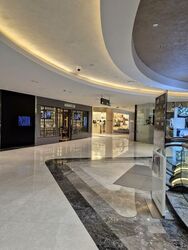 Palais Renaissance (D9), Shop House #520292531